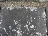 image of grave number 57891